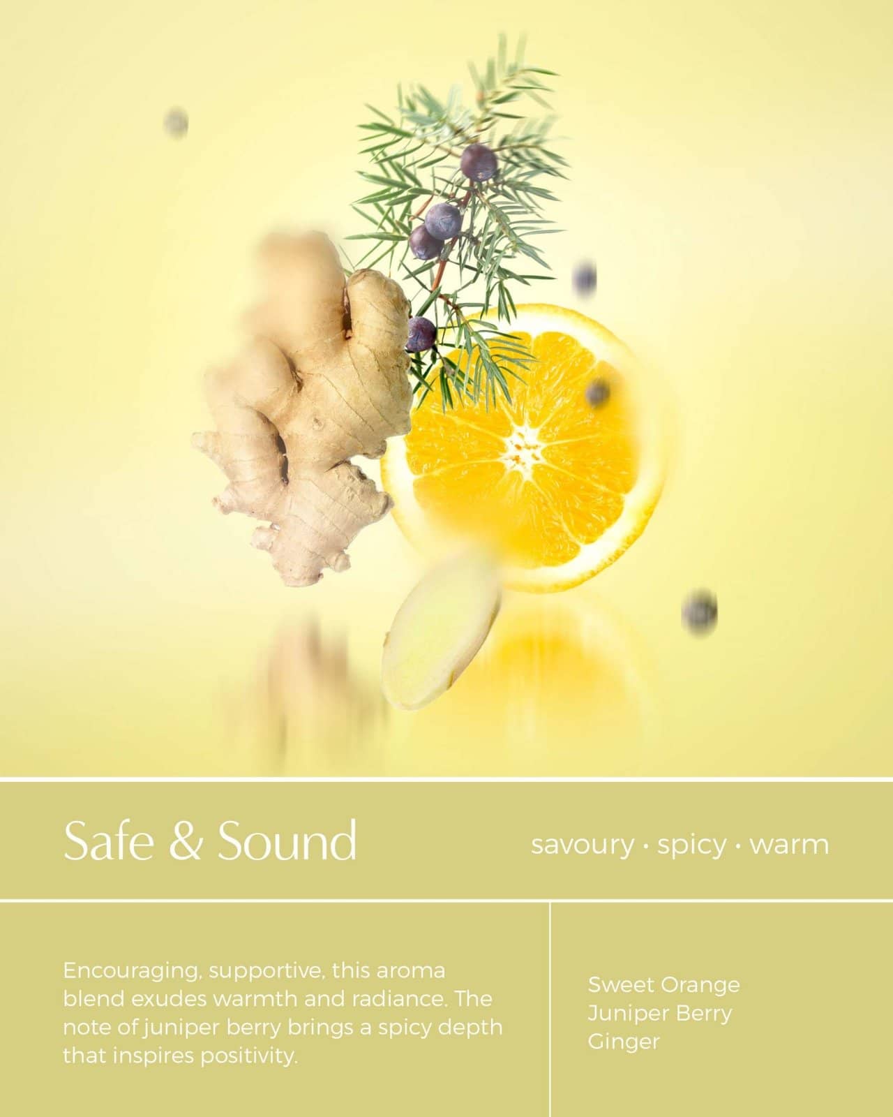 SHOWER STORY_Lite Collections: Complete Bundle – Essential Oil Infused Shower Steamers_Shower Steamer Gift Set_SSX4BDL2