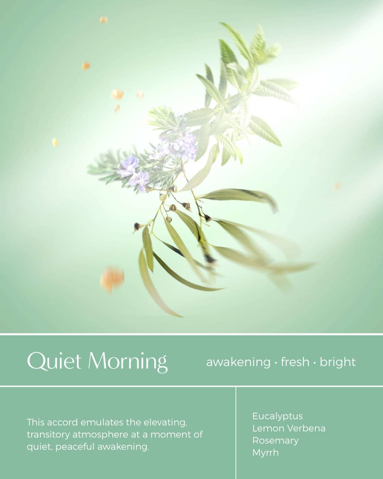 SHOWER STORY_Lite Collections: Complete Bundle – Essential Oil Infused Shower Steamers_Shower Steamer Gift Set_SSX4BDL2