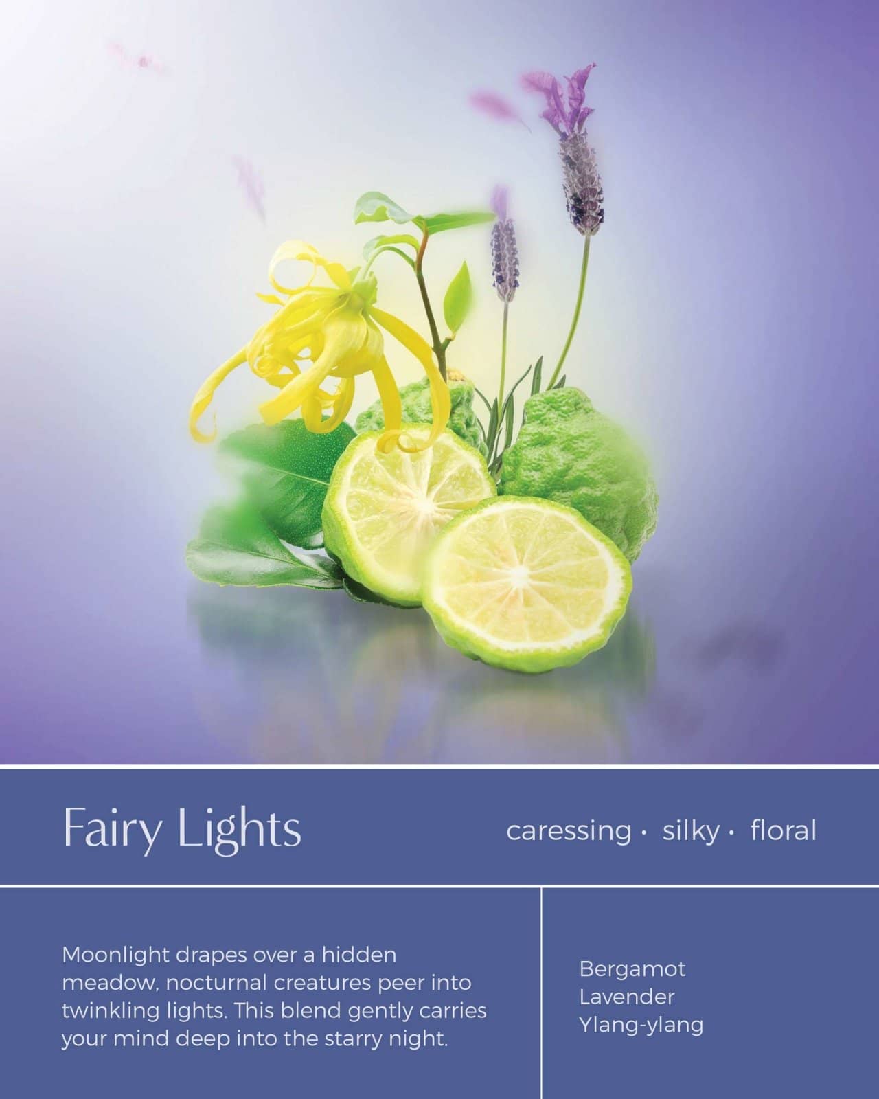 SHOWER STORY_Lite Collections: Complete Bundle – Essential Oil Infused Shower Steamers_Shower Steamer Gift Set_SSX4BDL2