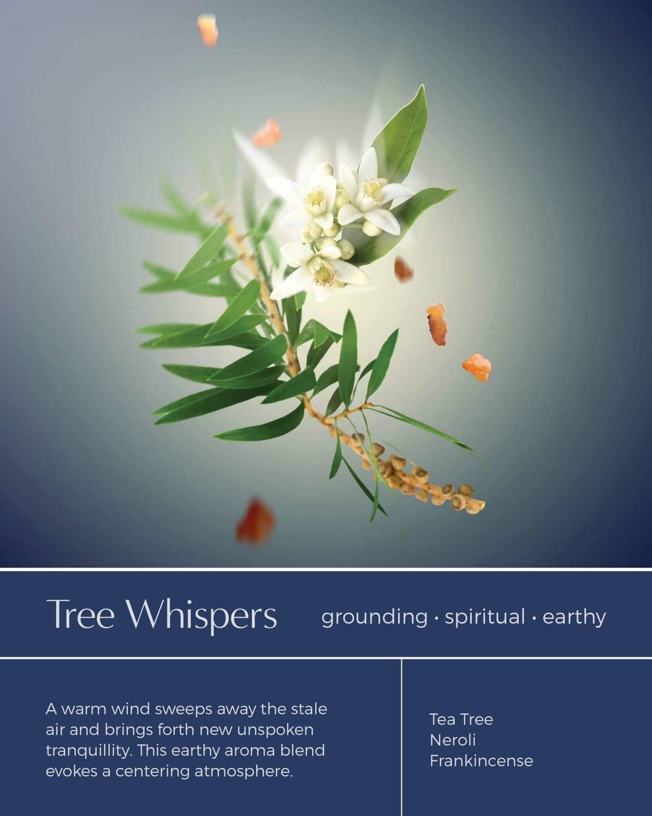 SHOWER STORY_Lite Collections: Complete Bundle – Essential Oil Infused Shower Steamers_Shower Steamer Gift Set_SSX4BDL2